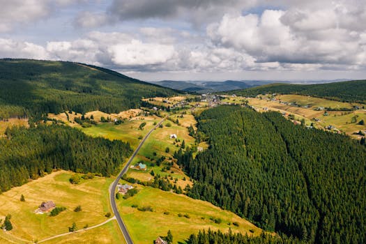 Proč je licencování hazardních her v ČR klíčové?