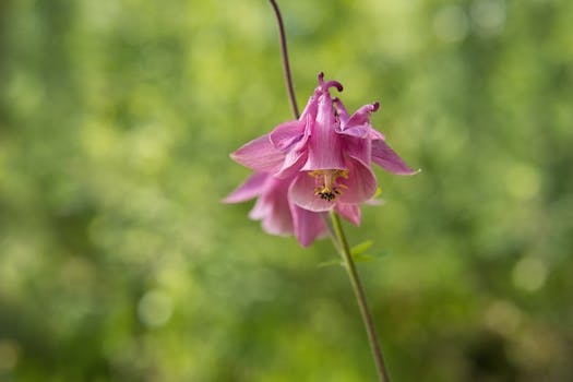 Jak získat hazardní licenci v České republice: Kompletní průvodce