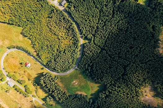 Zákonné Limity Hazardních Her v ČR: Co Musíte Vědět