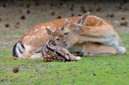 Jak ČR zdaňuje hazard? Přehled sazeb a dopady na hráče!
