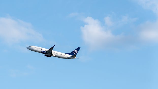 Proč je Česká republika rájem pro mezinárodní hazardní firmy?